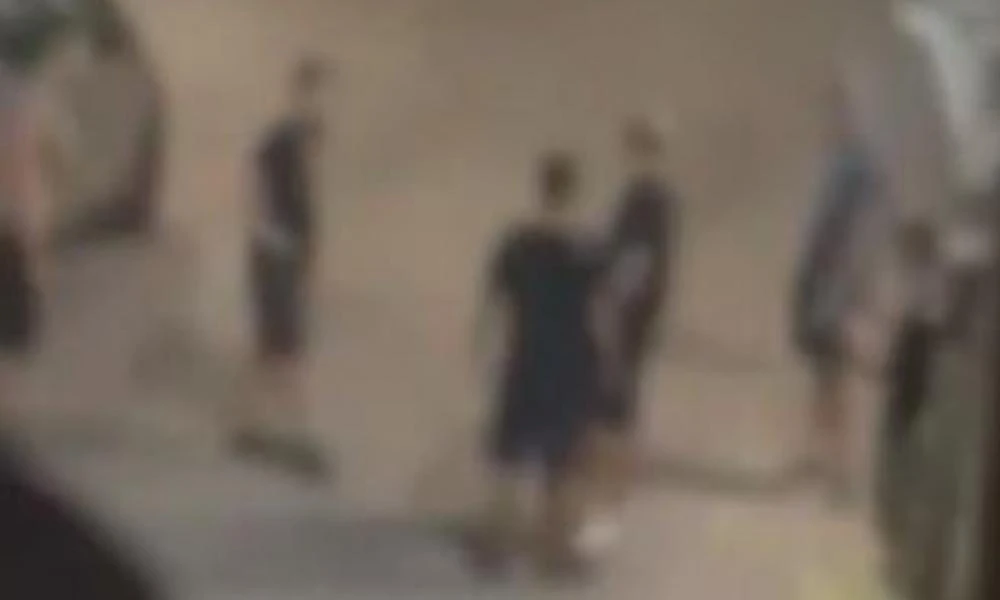 Νέα Φιλαδέλφεια: Καρέ-καρέ η επίθεση στον 16χρονο - «Το κεφάλι μου, το κεφάλι μου!» φώναζε, (βίντεο)